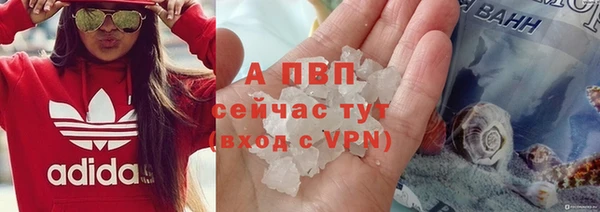 молекула духа Волоколамск