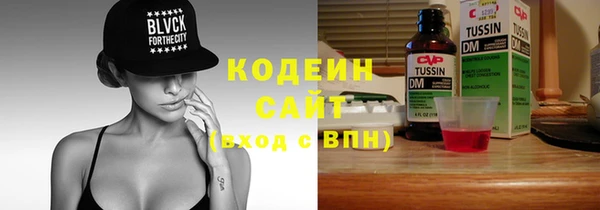 молекула духа Волоколамск