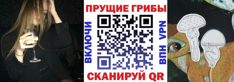 Галлюциногенные грибы мицелий где продают Благовещенск